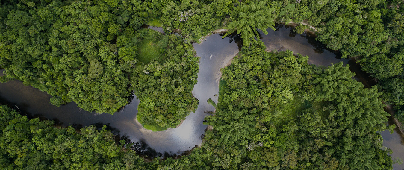 AdobeStock - gustavofrazao