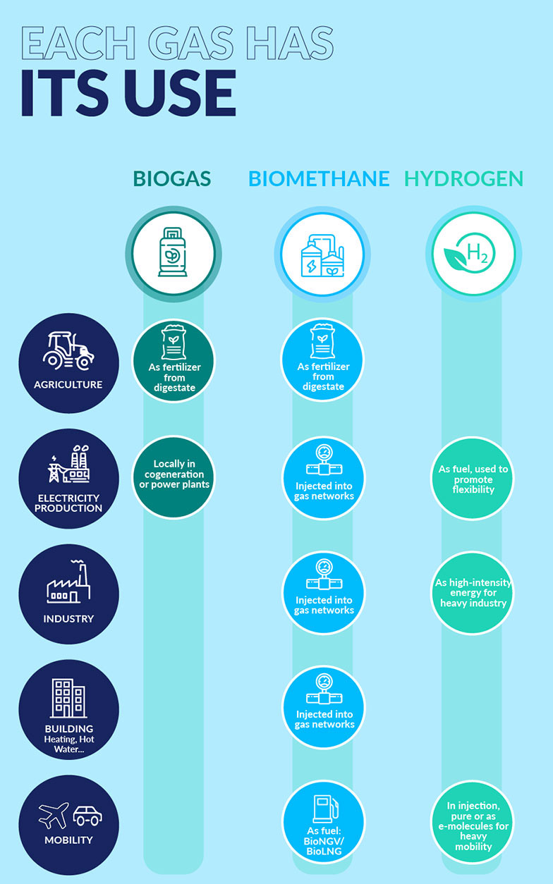 infographie