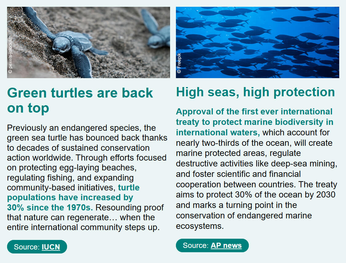 Trends Shaker november 2025