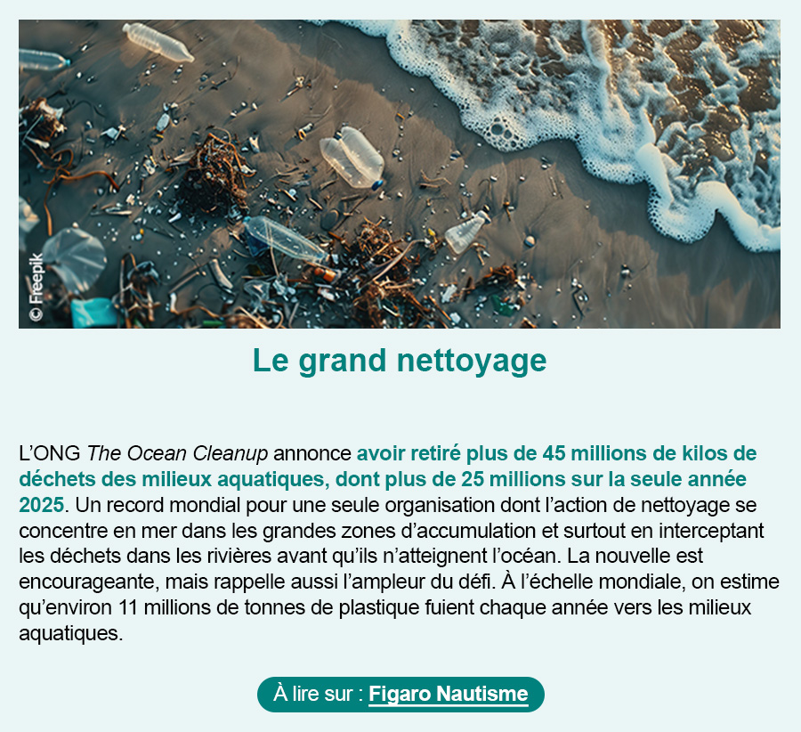 Article Trends Shaker - Le grand nettoyage