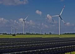 carbon-neutral growth