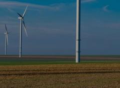 champ d'éoliennes