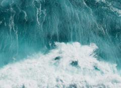 Header_WindFloat