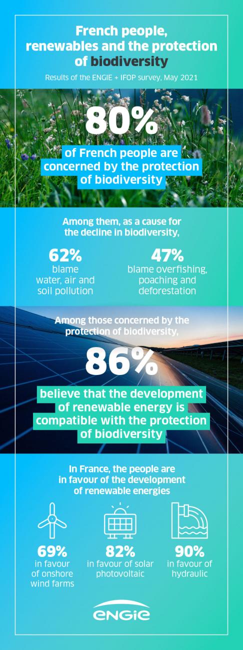 infographie_biodiversite_en